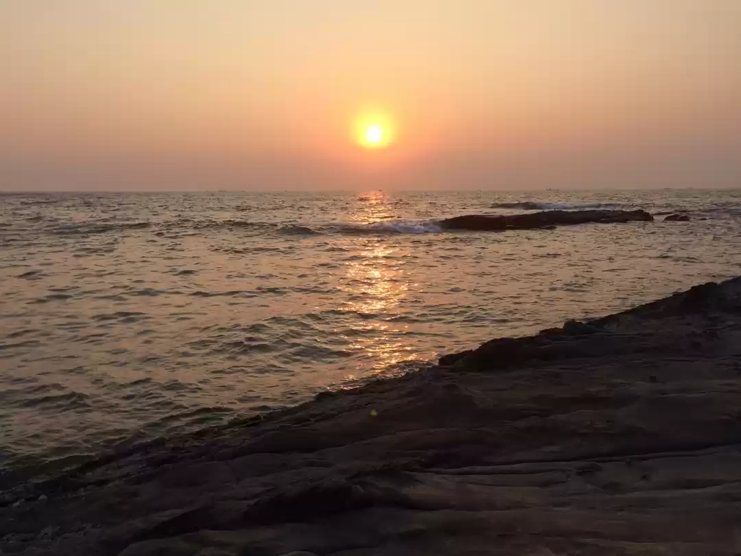 Photo of The Student's Guide