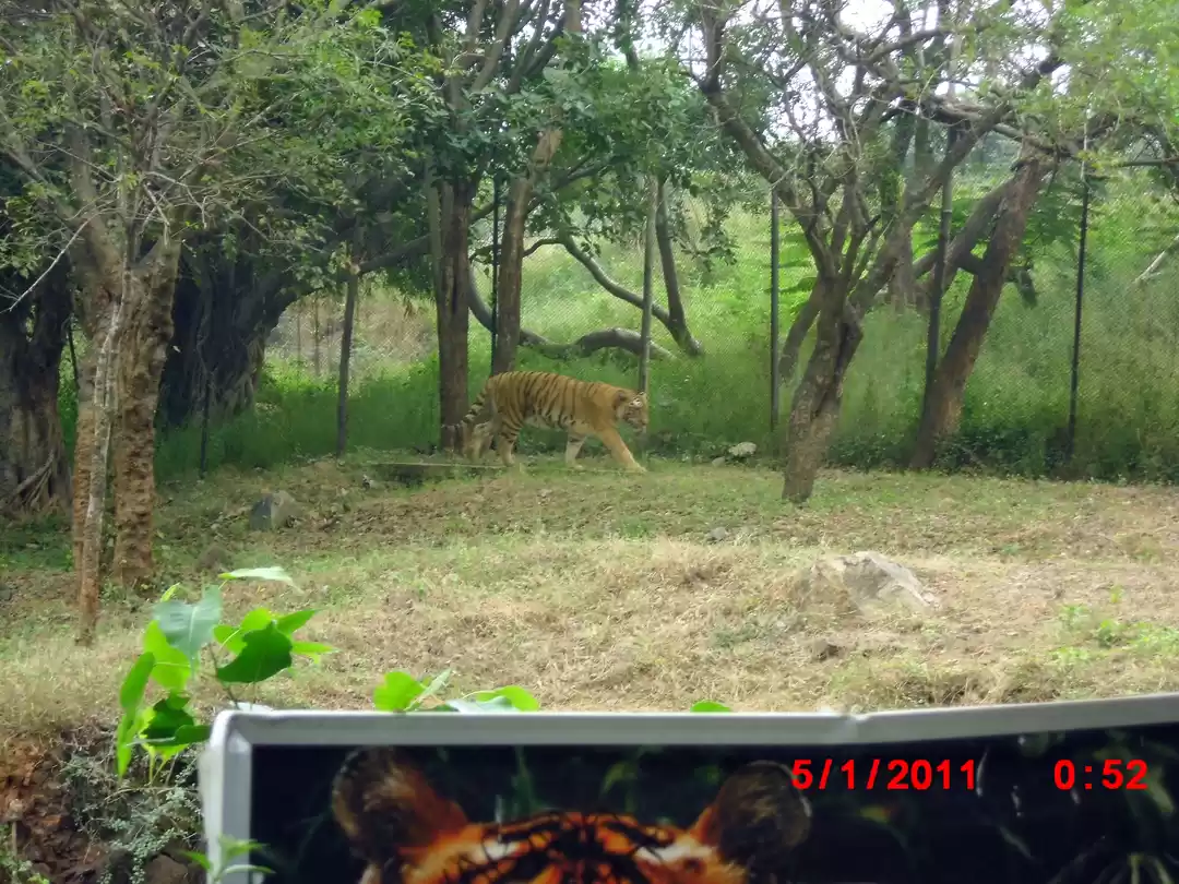 Photo of The "better half" of