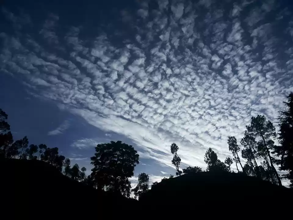 Photo of Binsar: A Window To 