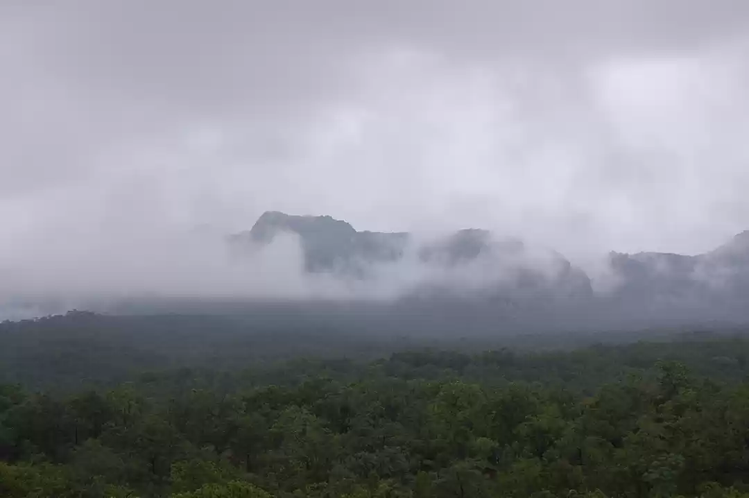 Photo of The Scenic Panchmarh