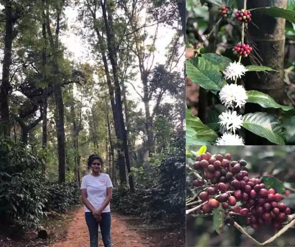 Photo of Coorg: Exploring The