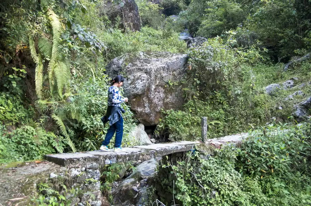 Photo of Premlakha- Walk to t