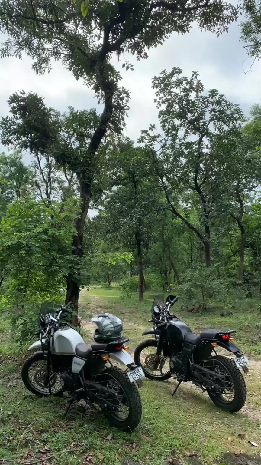 Photo of Mud in boots, mud on