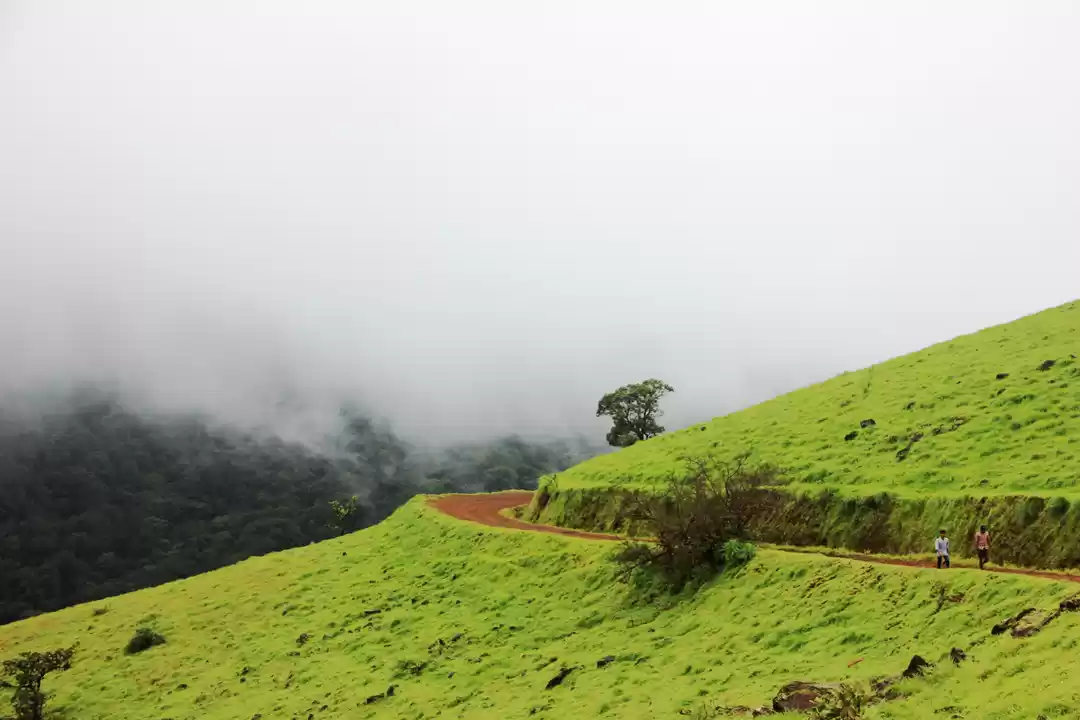 Photo of Beauty at its best- 