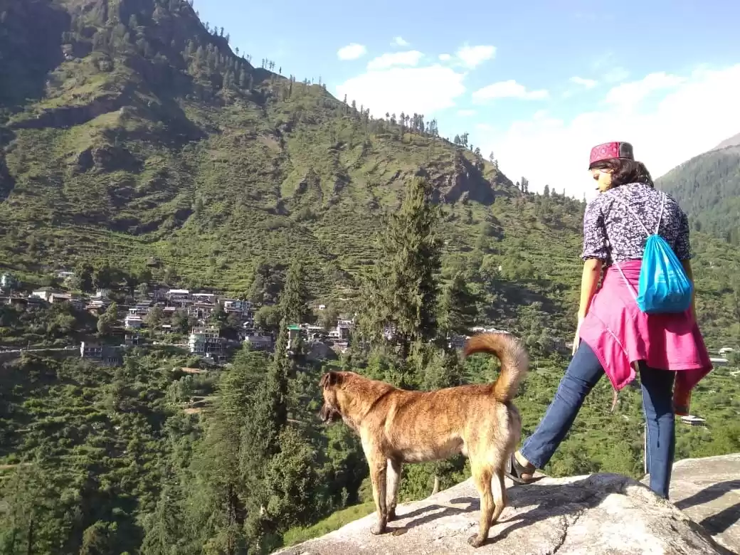 Photo of Living The Village L