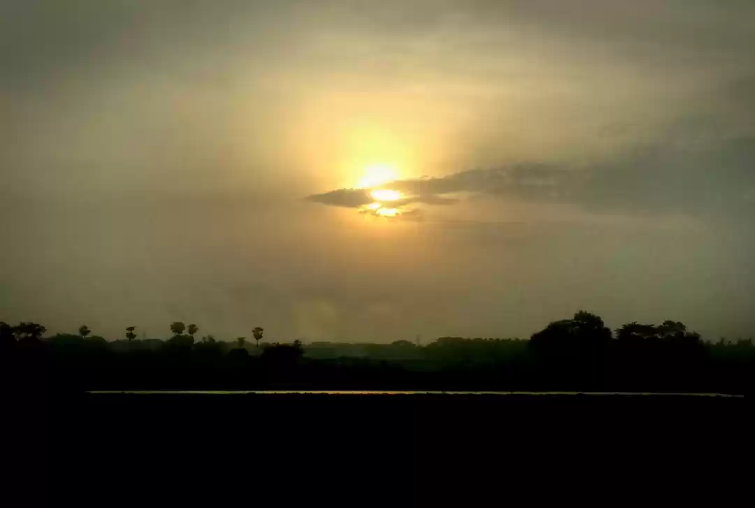 Photo of The Story Boards fro