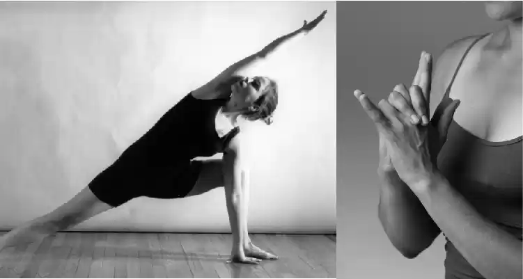 Photo of 16 Things To Do In D