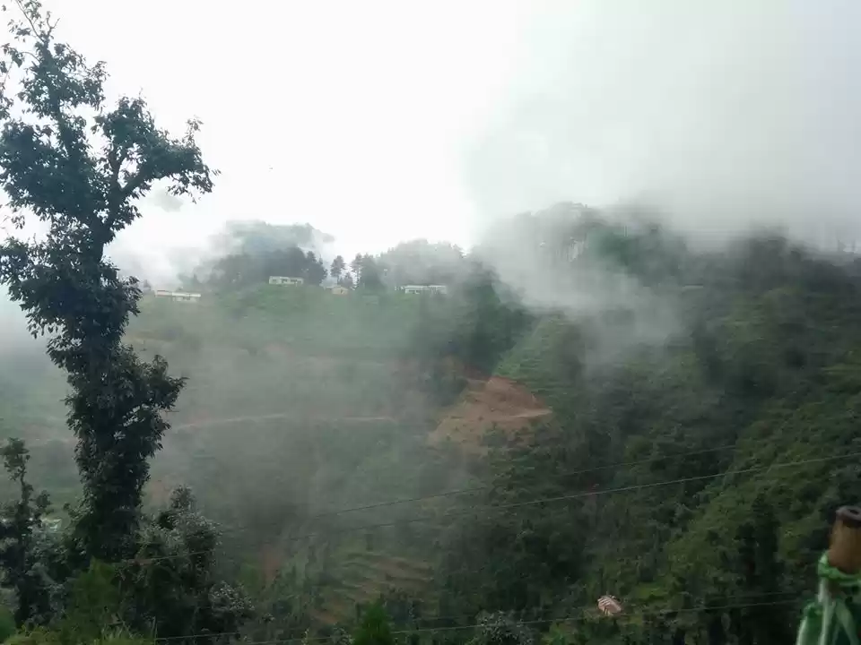 Photo of धनौल्टी: कम बजट में 