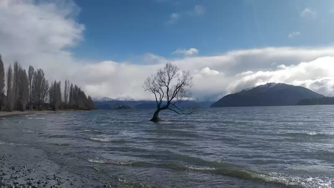 Photo of Trip to Wanaka & Car