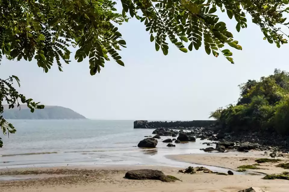 Photo of Goa is overrated, he