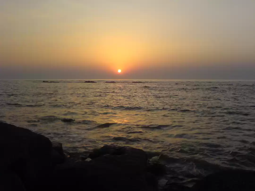 Photo of Beautiful lone parad