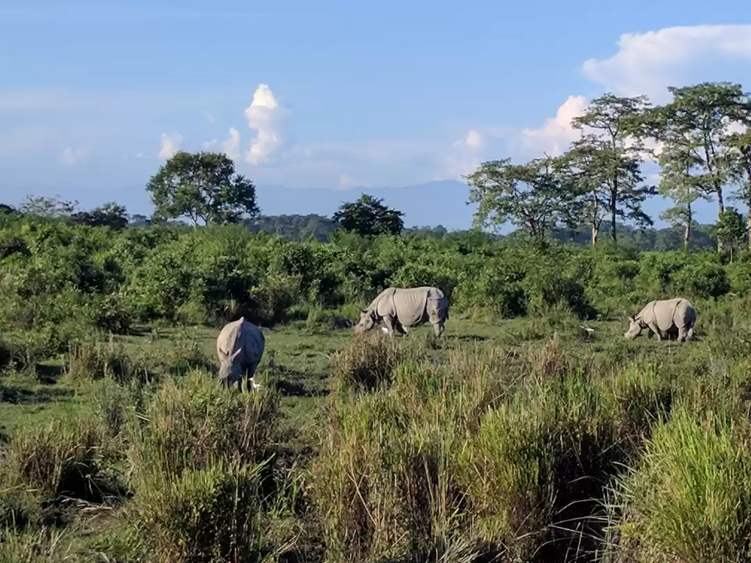 Photo of 5 Things to do in Ka