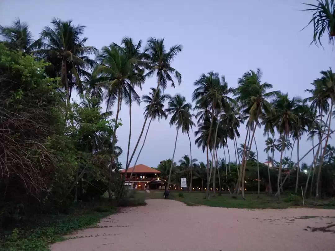 Photo of Things to do in Sri 