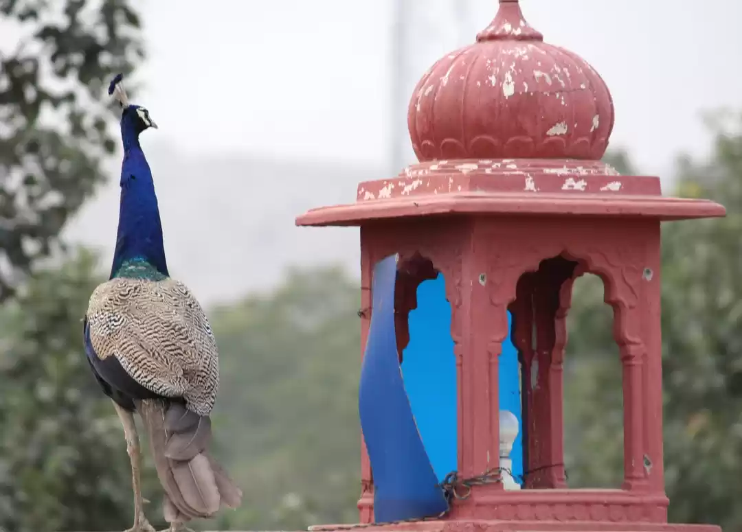 Photo of Unwind at this Havel