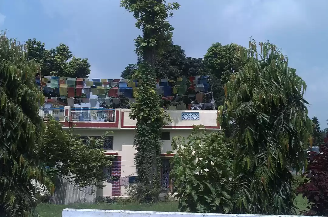 Photo of Peaceful Awakening 