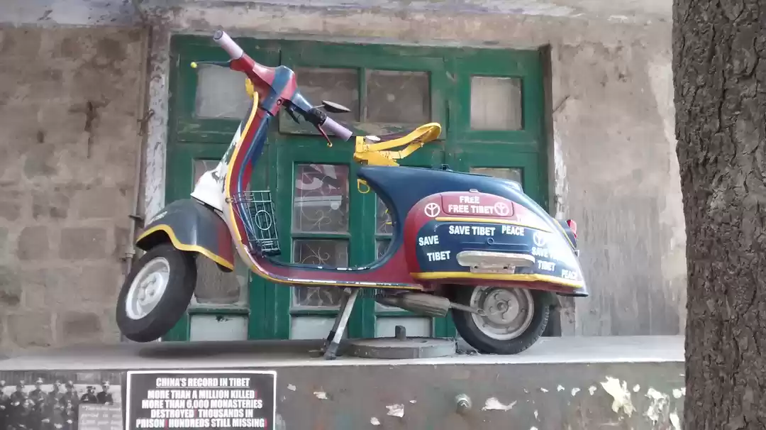 Photo of Checklist for McLeod