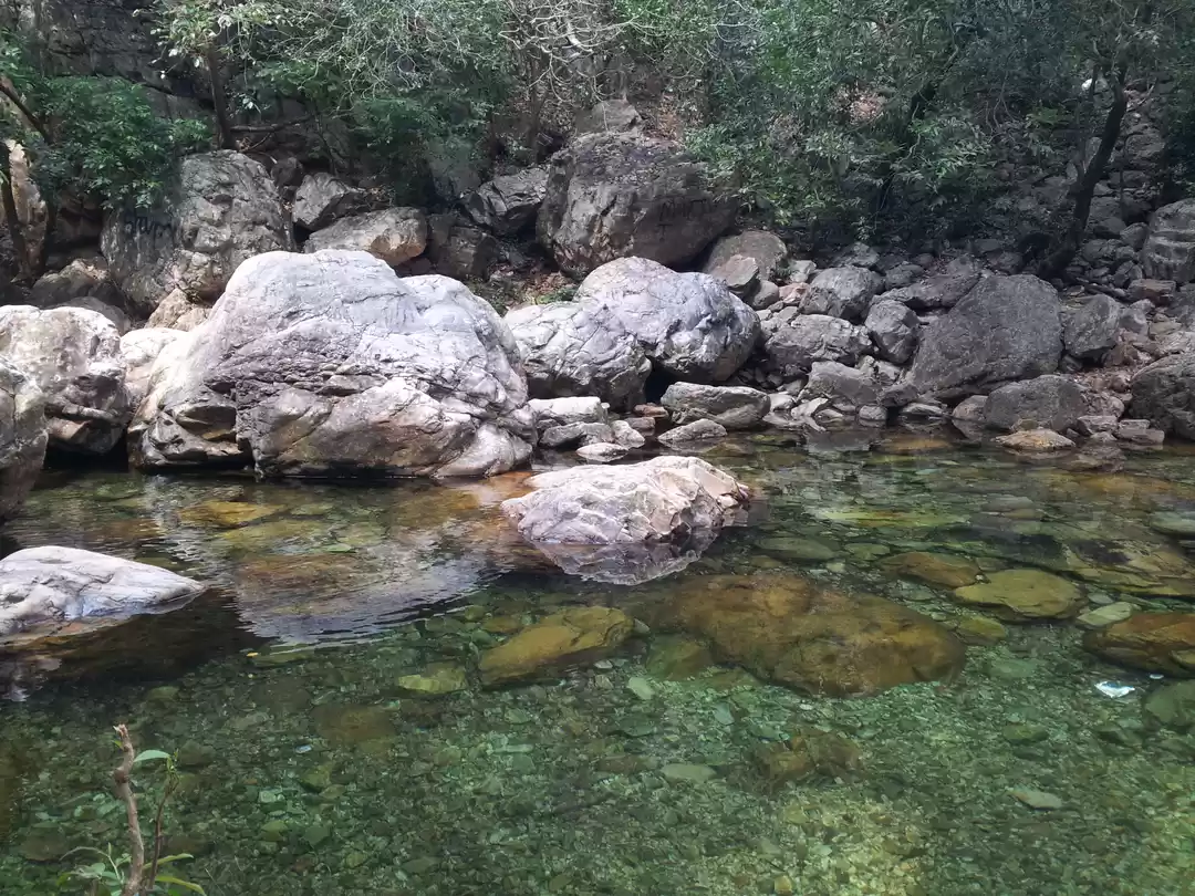 Photo of Trekking in Tada