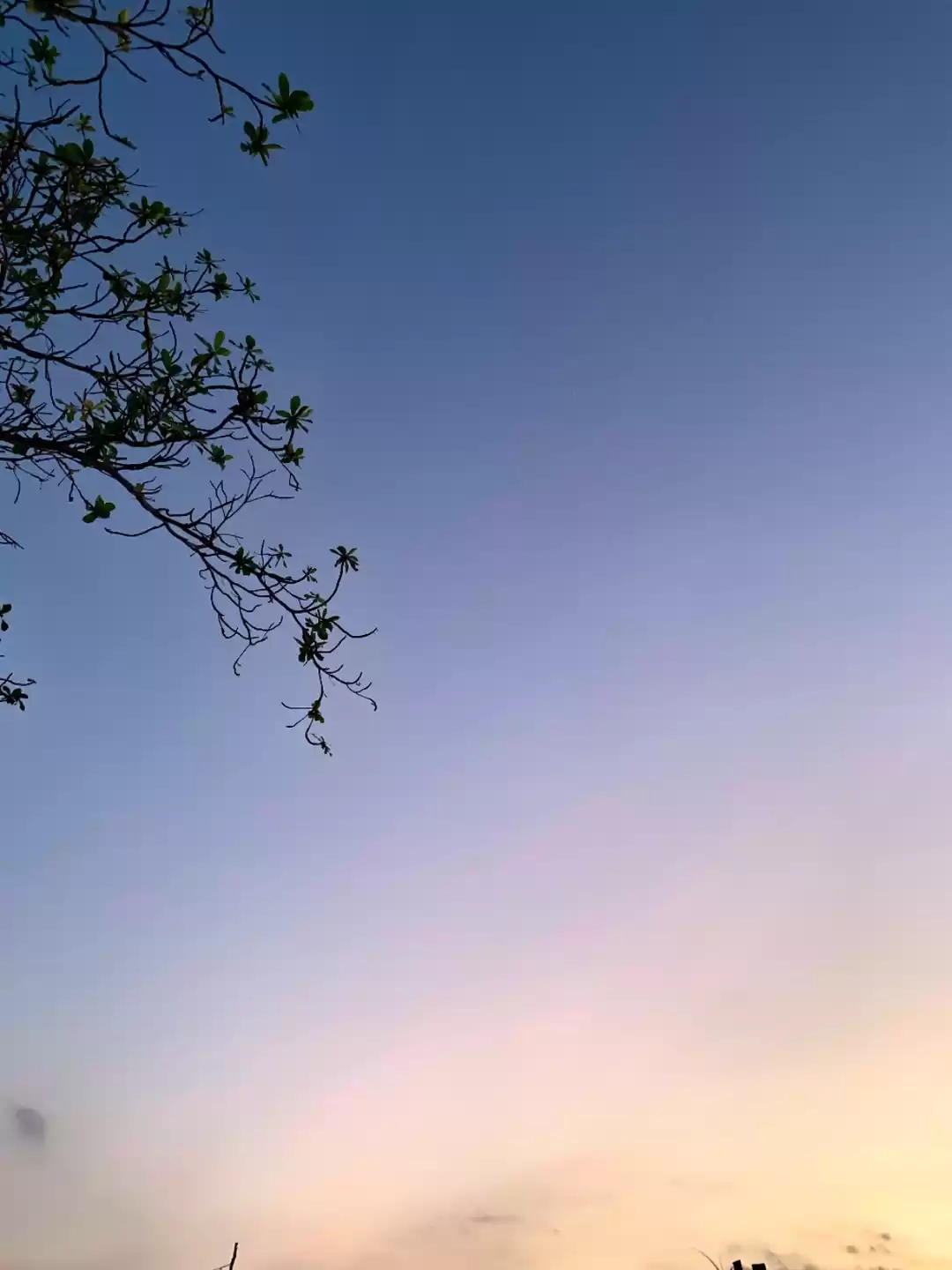 Photo of Travelogue 