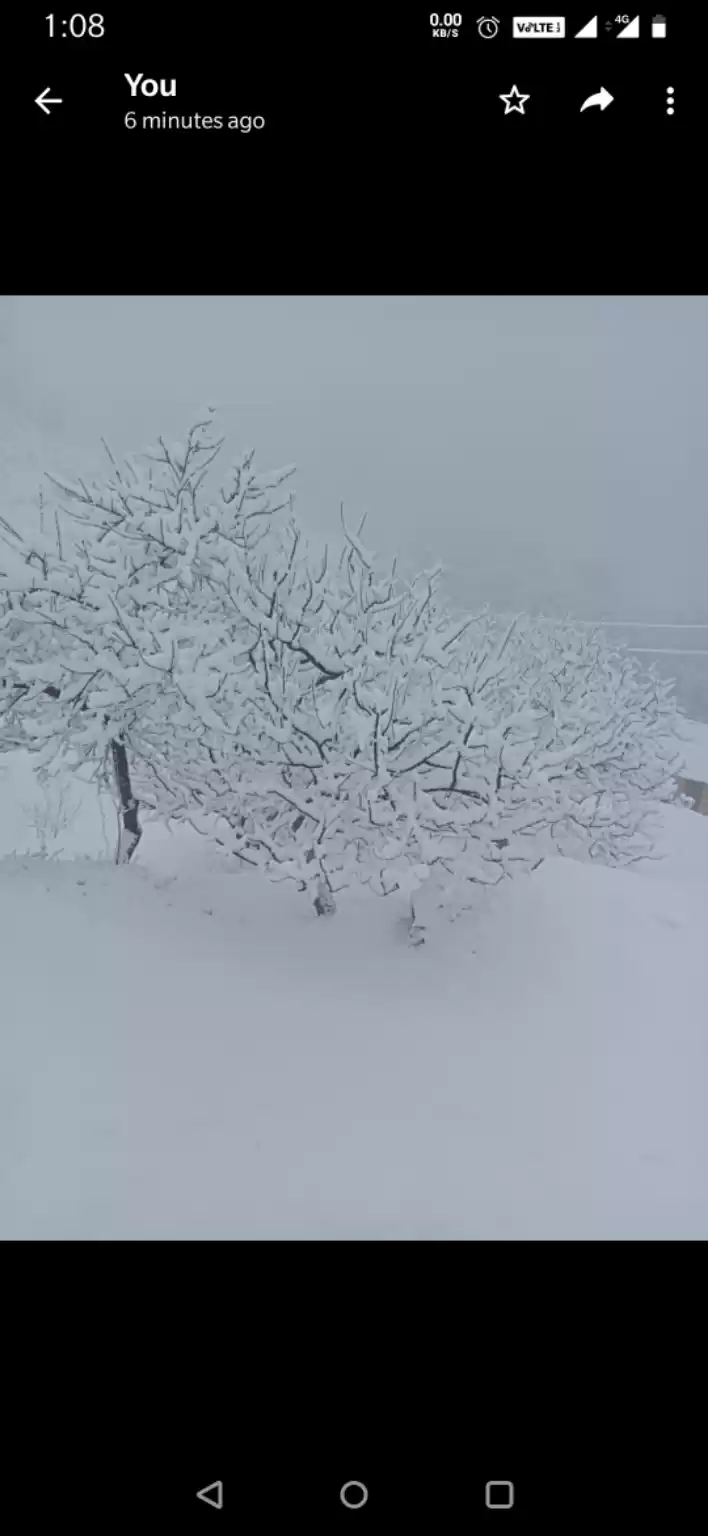 Photo of Two shades of majest