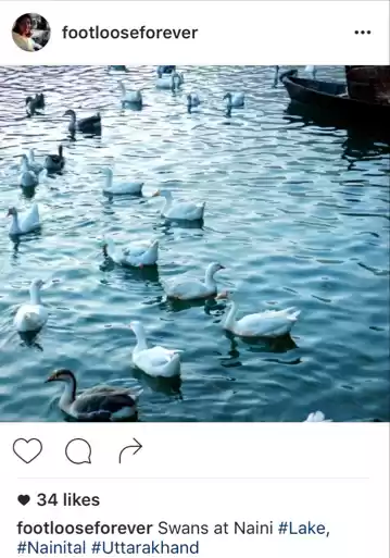 Photo of Budding Instagram ha