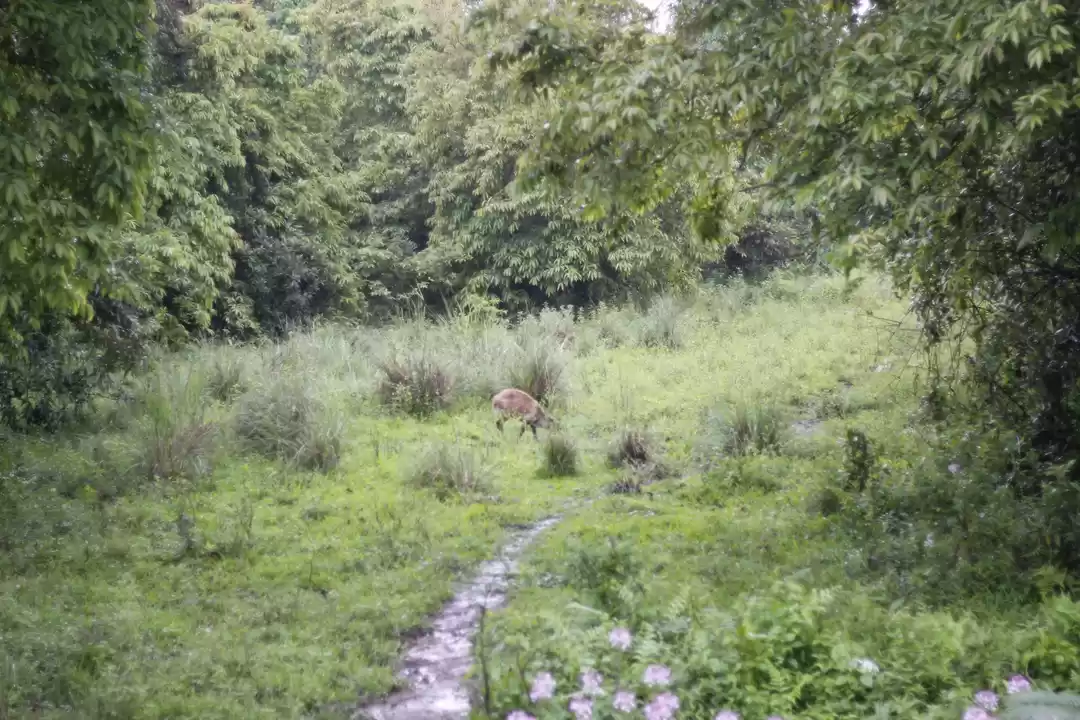 Photo of The NorthEast Trip 2