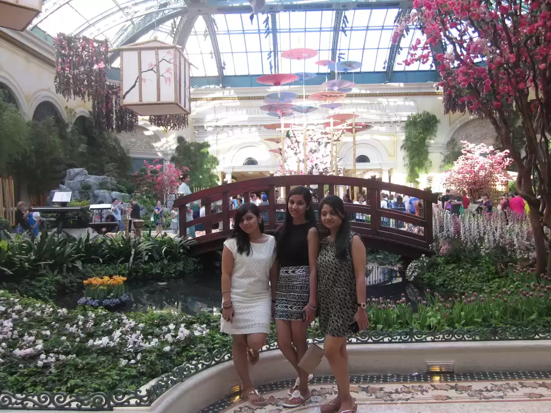 Photo of US Chronicles (Part 