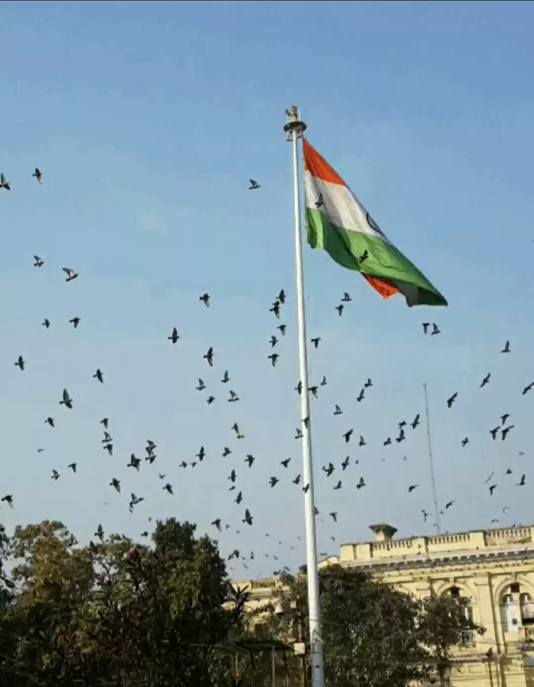 Photo of First foodie experie