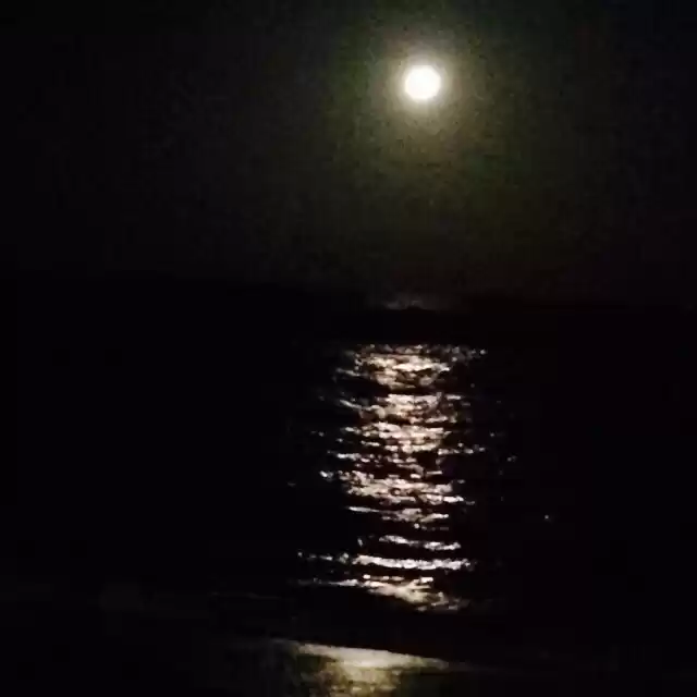 Photo of Cheap Thrills in Goa