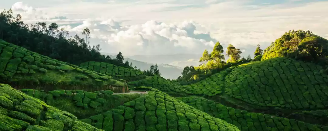 Photo of Here's Why One Trip