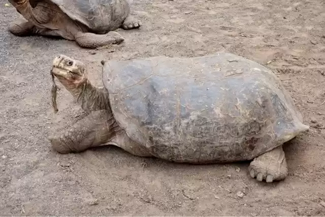 Photo of Galapagos Islands on