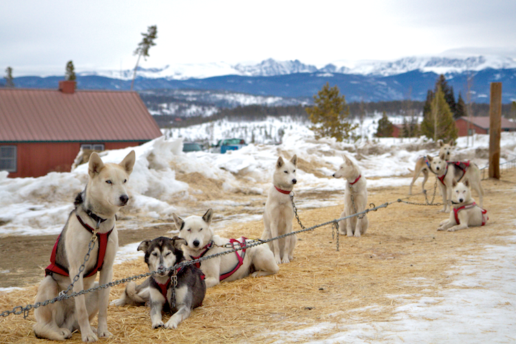 Photo of You Don’t Have To Go