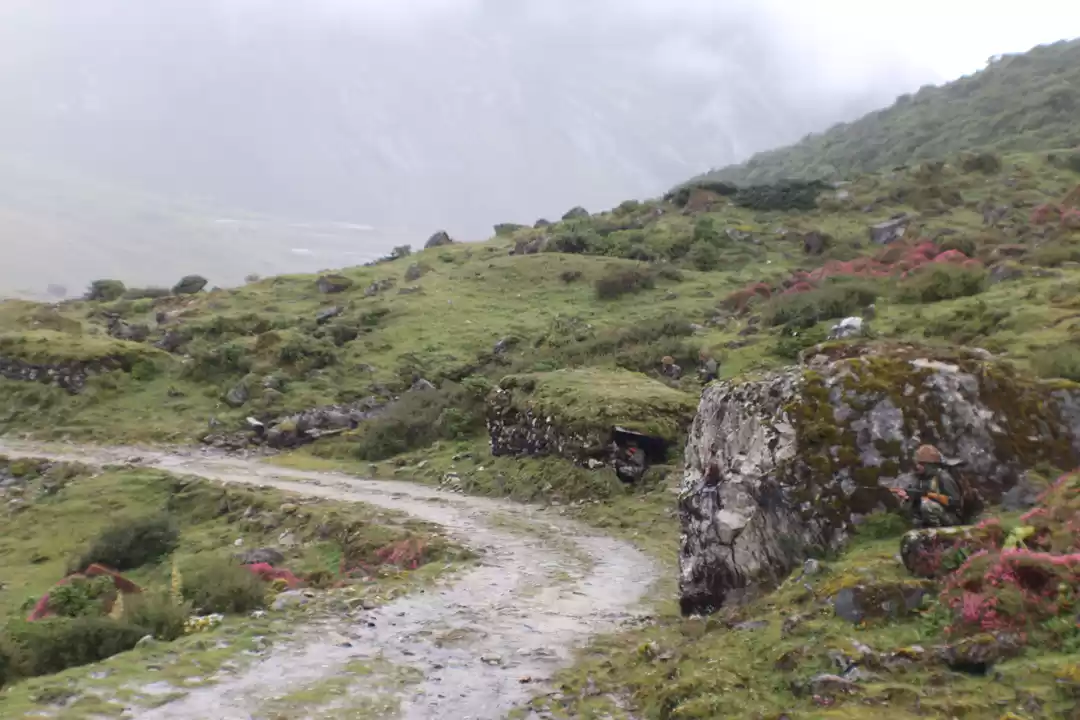 Photo of Sela Pass