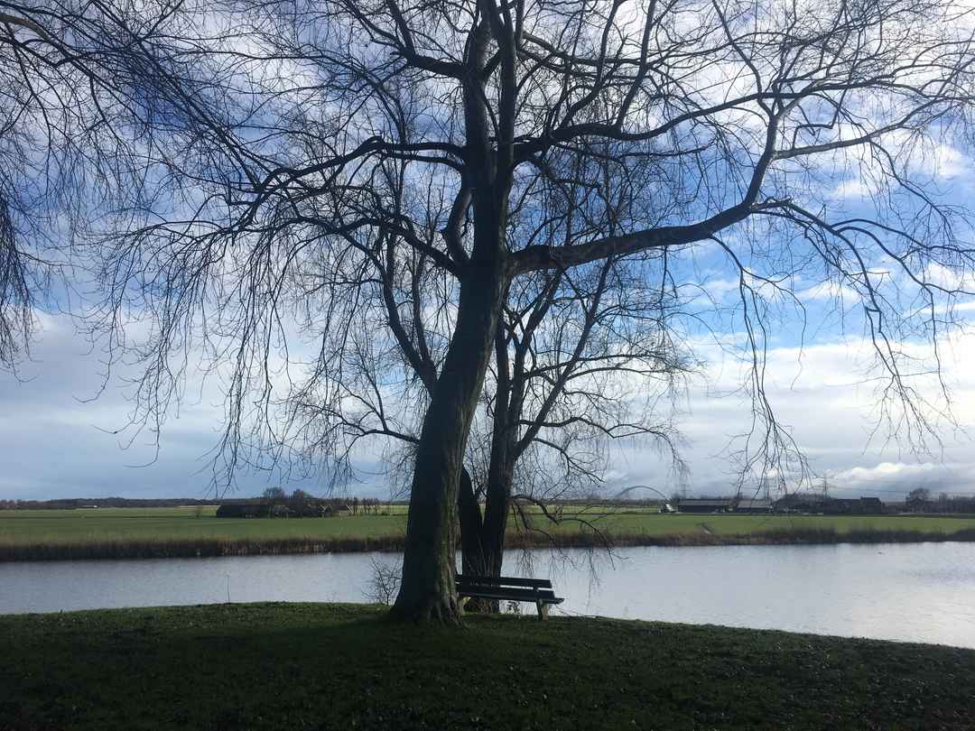 Photo of Offbeat Netherlands in 5 days (Western Holland)