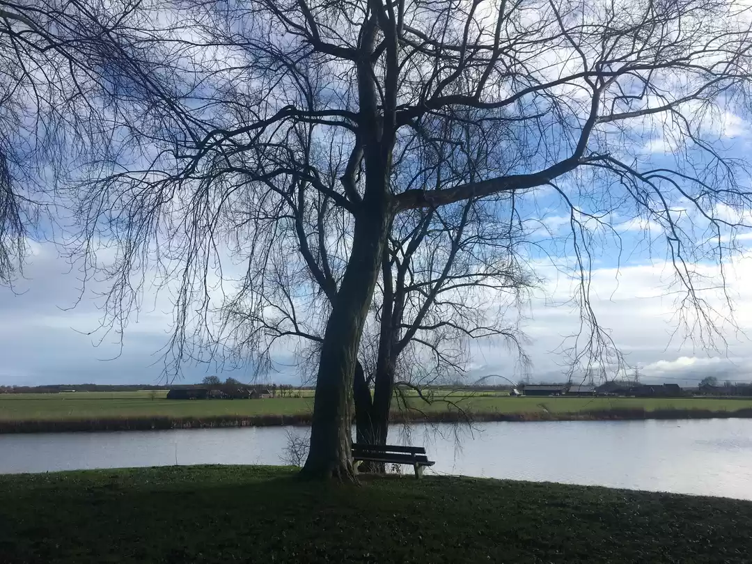 Photo of Offbeat Netherlands 