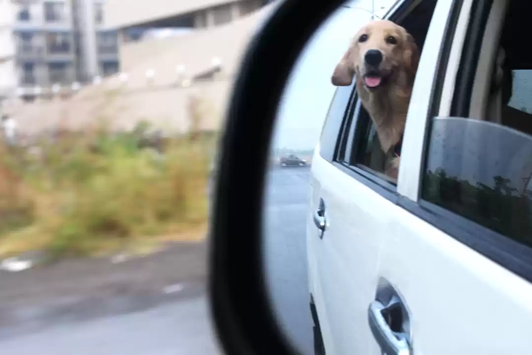 Photo of Why You Should Go On