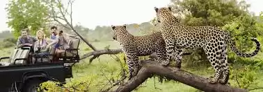 Photo of Ranthambore National