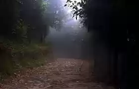 Photo of Tinchuley – taste of