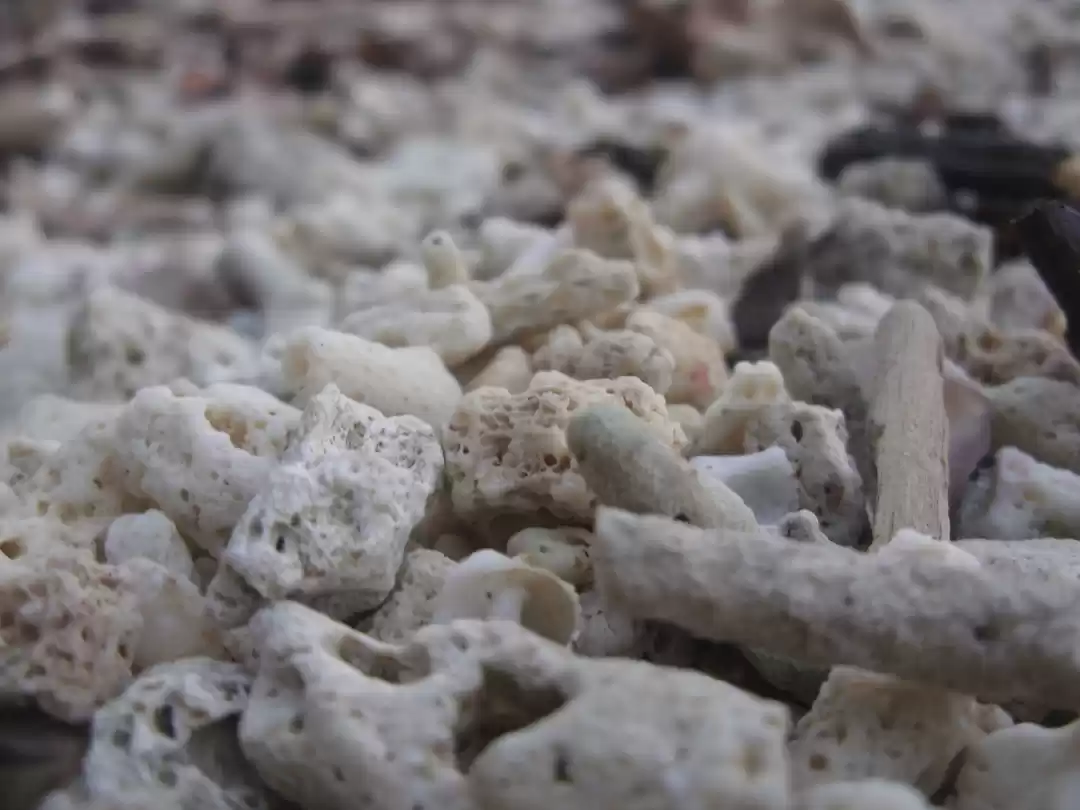 Photo of Top 5 things to do a