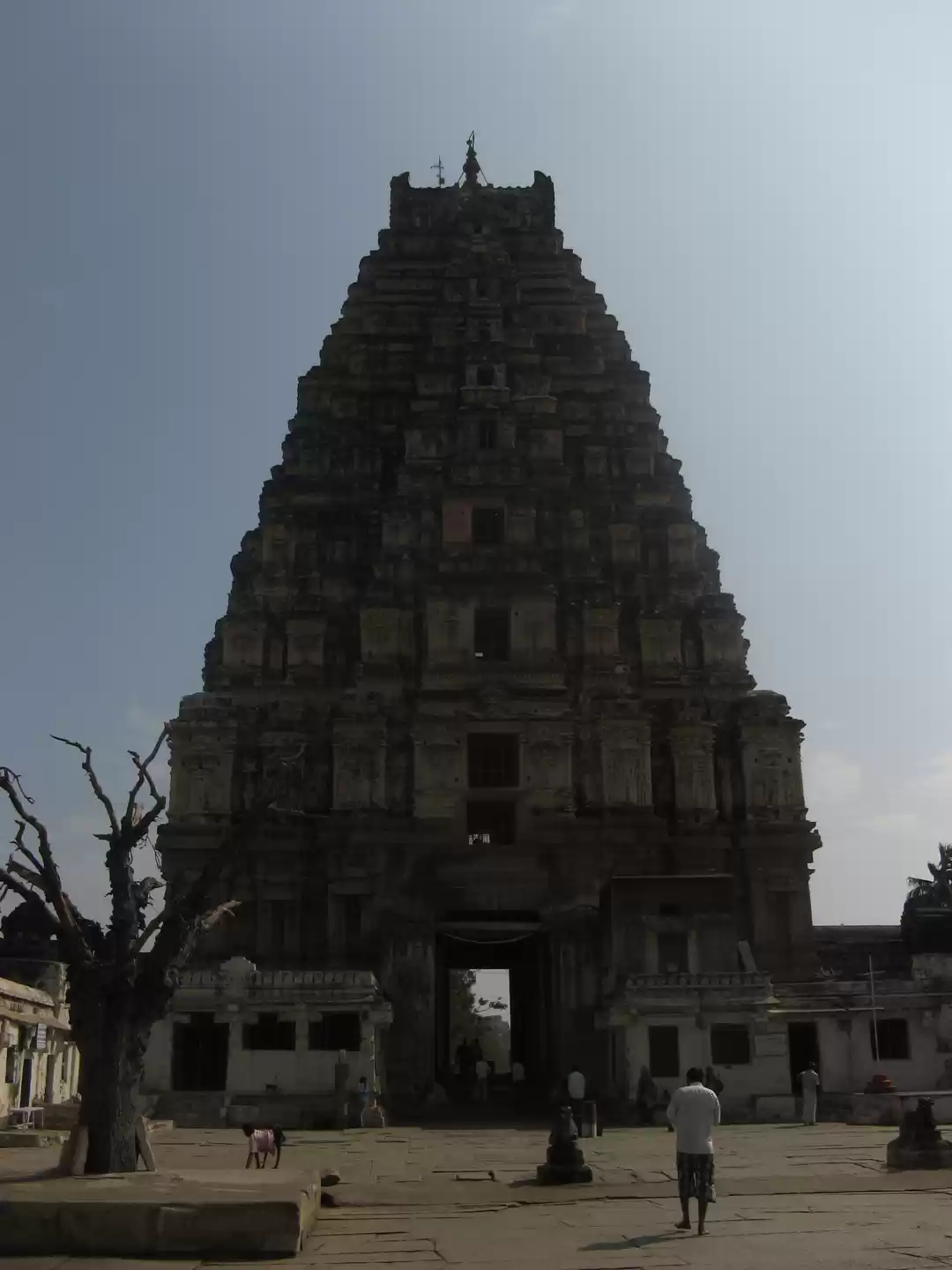 Photo of Amidst stones and sc