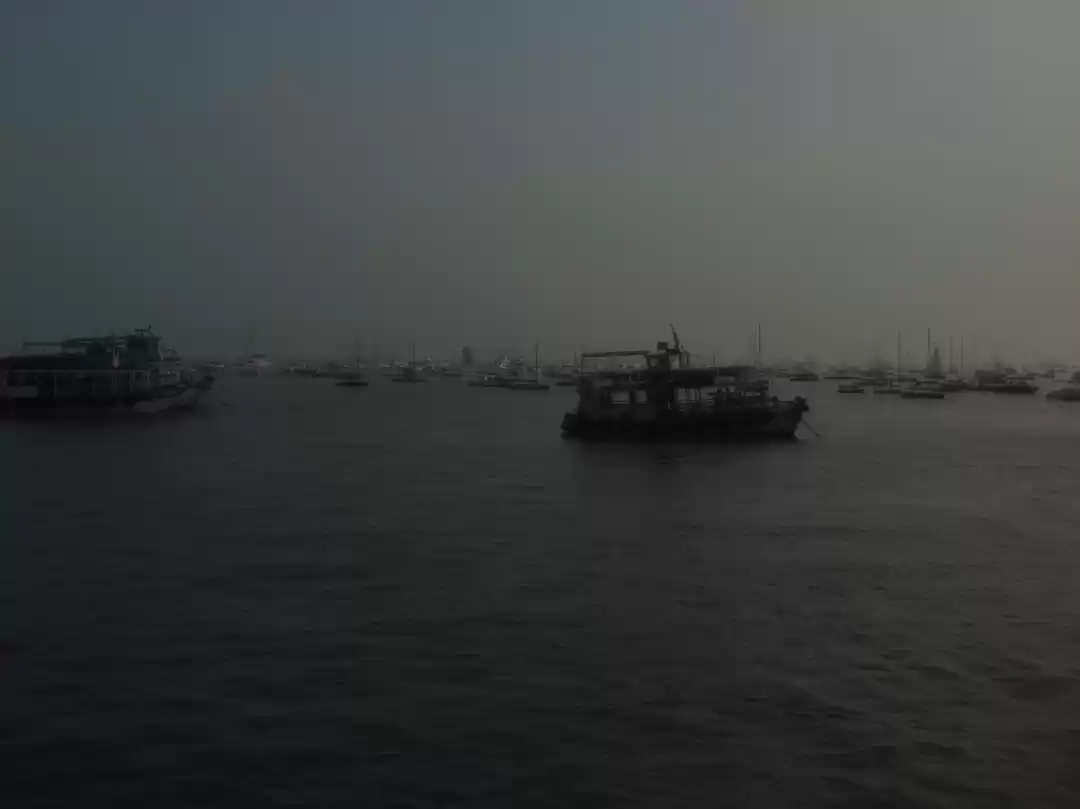 Photo of Madness in Mumbai
