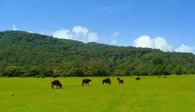 Photo of Discover a Goa beyon