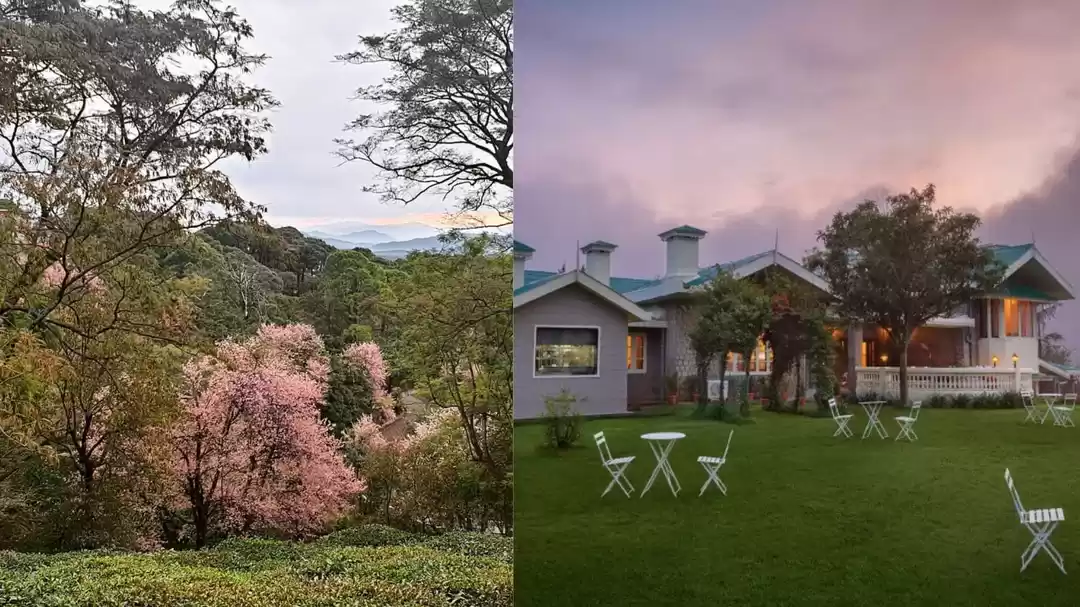 Photo of Forget Japan. Come t