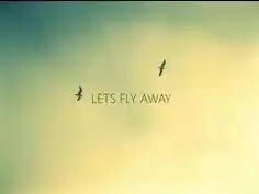 Photo of Let's Fly Away