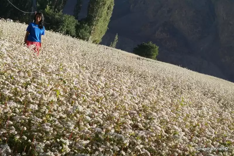 Photo of Ladakh – One with th