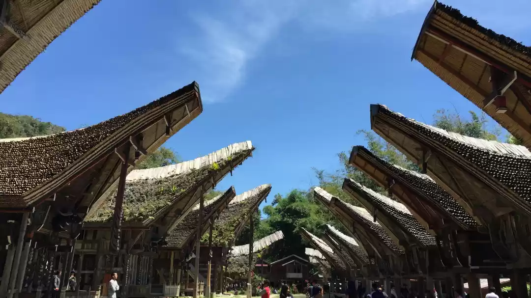 Photo of Indonesia : A Fascin