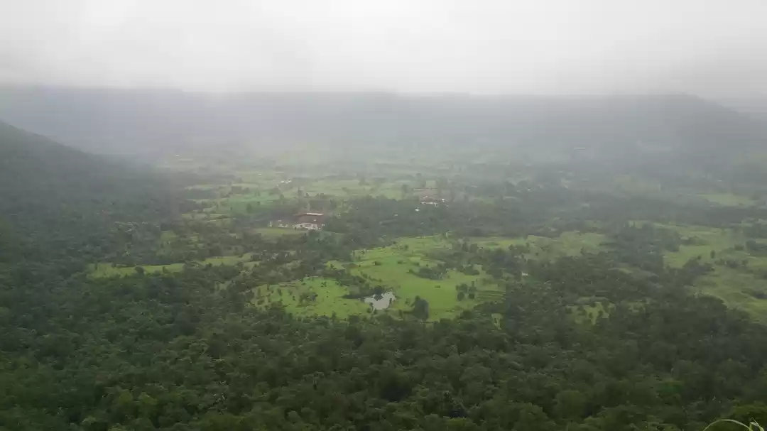 Photo of Kothaligadh - All wh