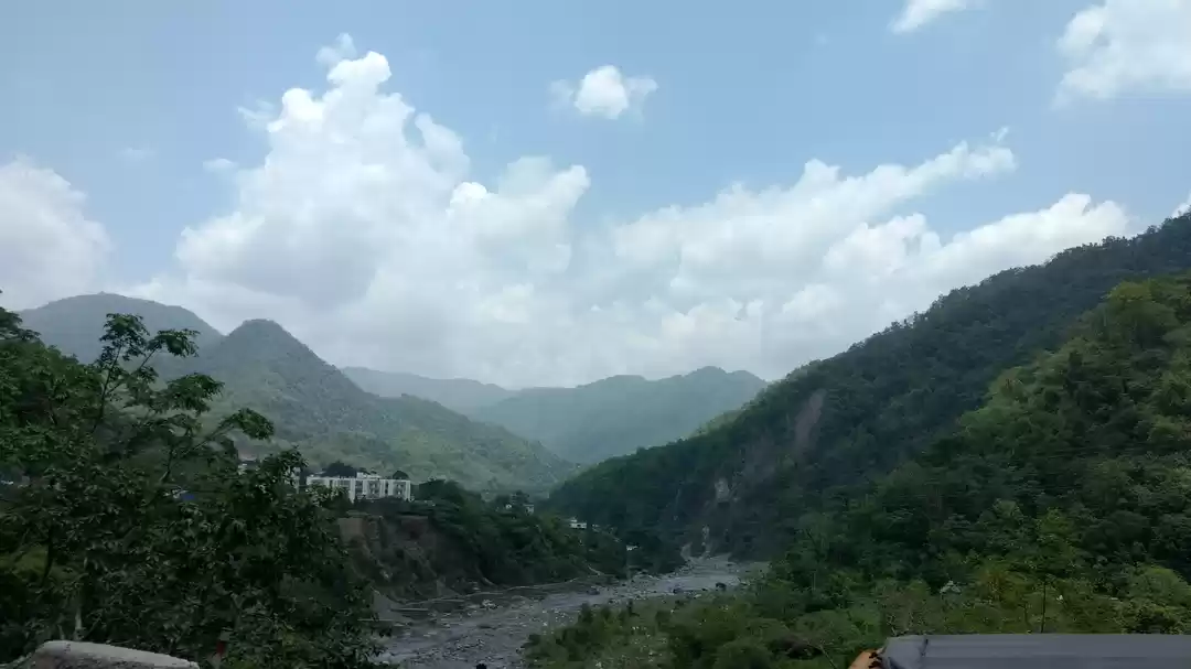 Photo of Road to India's firs