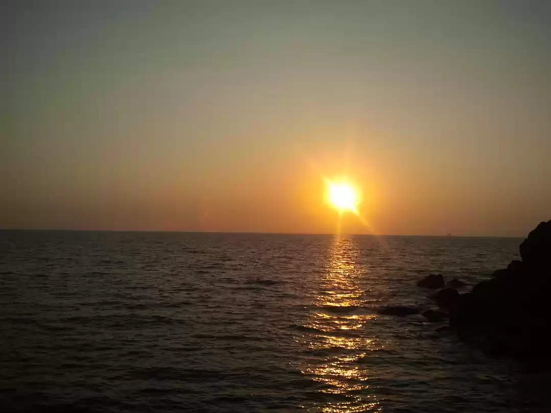 Photo of Around Goa on Bicycl