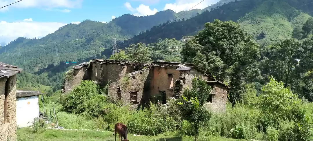 Photo of When Homestays Used