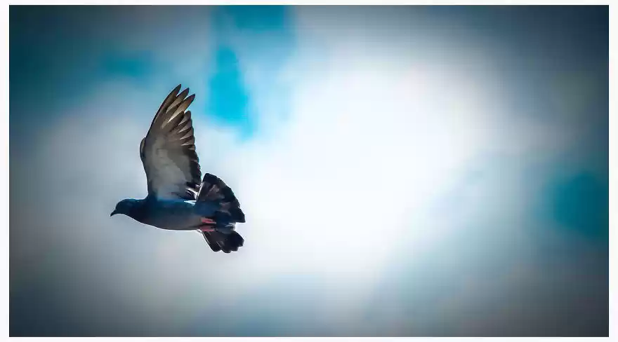 Photo of Only Six Hours Away